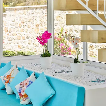 Bella Mare Magnificent Ultra Luxury * カシュ